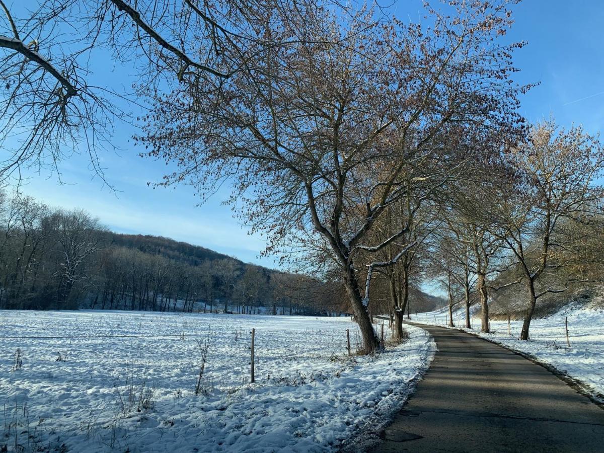 Gemuetliches Einfamilienhaus In Gera Mit 3 Schlafzimmern Mit Garten Und Parkplatz Exteriör bild